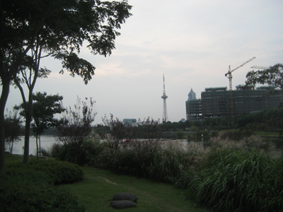 Park und See direkt vor meiner Wohnung.